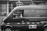 La fotógrafa colombiana que conquista el mundo con sus fotografías de perros