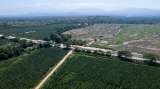Colombia gana demanda y se salva de pagar $465.000 millones por Ruta del Sol III