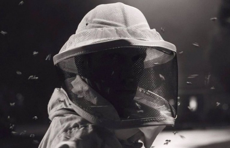 “WandaVision”: ¿Quién es el hombre de las abejas?
