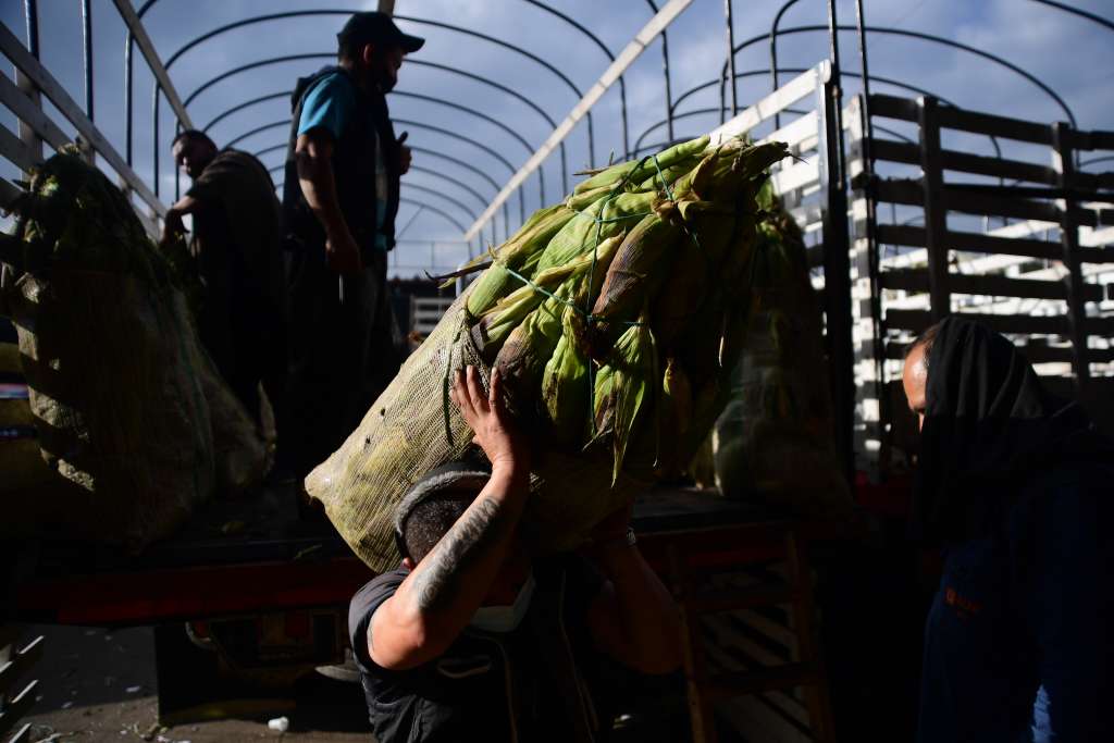 Aspectos varios de la venta de frutas y verduras de esta central de abastos ubicada en Bogotá