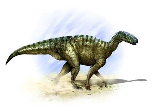 Era de dinosaurios, exposición prehistórica