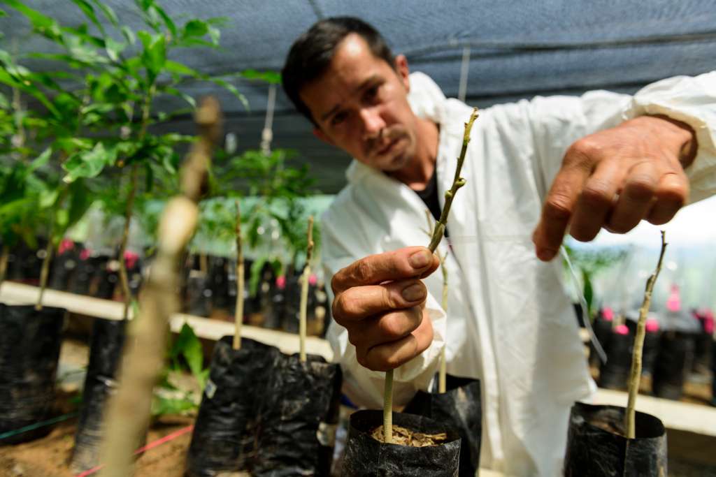 Una buena regulación necesita de herramientas para su implementación: Agua para Colombia