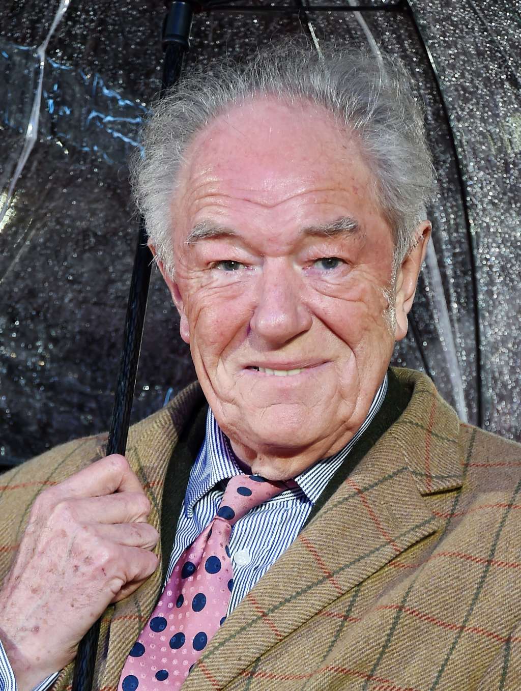 London (United Kingdom).- (FILE) - British actor/cast member Michael Gambon poses for pictures during the World Premiere of 'Dad's Army' at Leicester Square in London, Britain, 26 January 2016 (reissued 28 September 2023). Michael Gambon died at the age of 82, accoerding to a family statement issued by his publicist on 28 September 2023. (Cine, Reino Unido, Londres) EFE/EPA/ANDY RAIN *** Local Caption *** 52553825