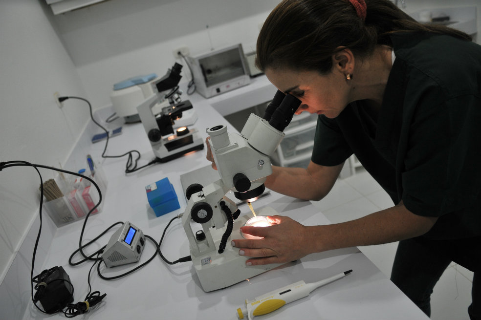 El Gobierno pidió que los proyectos de ciencia, tecnología e innovación tengan un impacto nacional.