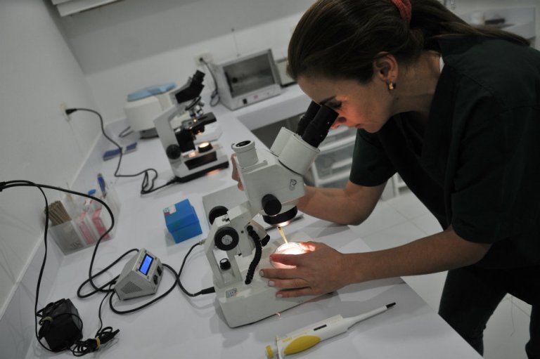 Habría cambios en regalías para ciencia