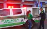 Dos hombres fueron judicializados por maltrato animal en Bogotá y Cundinamarca