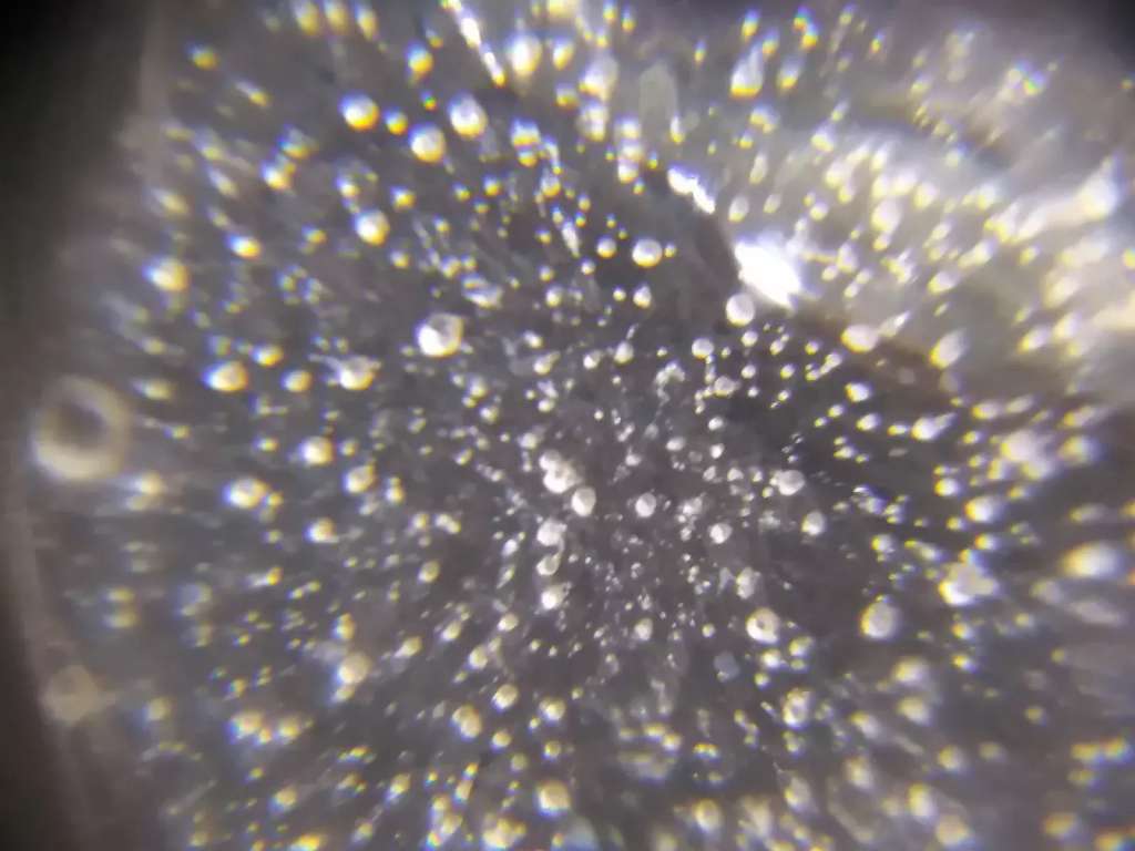 Imagen microscópica de microplásticos.