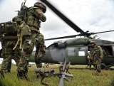 Cabecillas de las Farc dados de baja durante la tregua