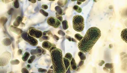 Mal uso de antibióticos, un problema que causa 1,27 millones de muertes