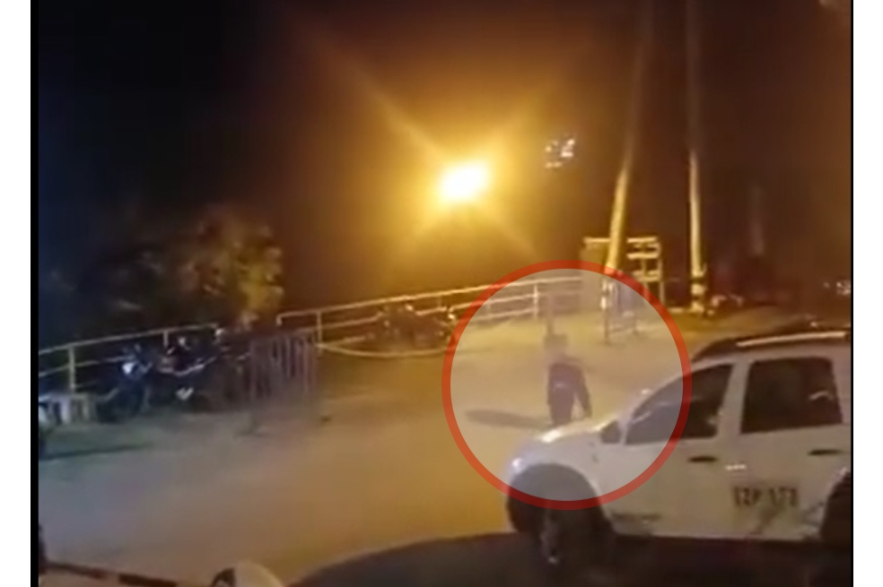 Este es el momento en el que uno de los chimpancés juega en el parqueadero del parque Consotá, en Pereira.