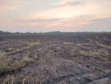 Denuncian incendio intencional que habría arrasado 900 hectáreas en bioparque del Casanare
