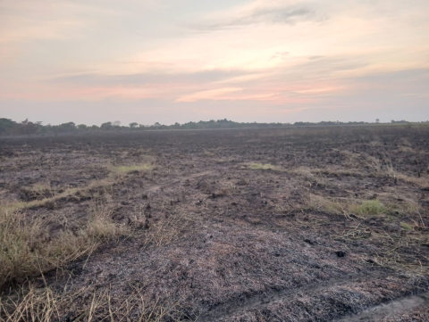 Denuncian incendio intencional que habría arrasado 900 hectáreas en bioparque del Casanare
