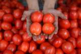 En fotos: Nueve plantas que no sabía que son parientes del tomate (y le sorprenderán)