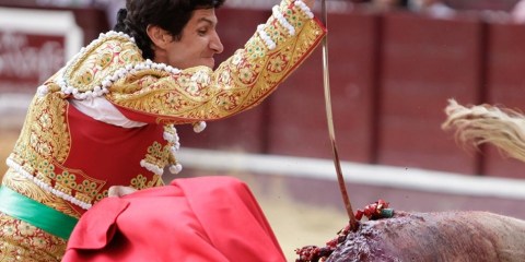 Tauromaquia: ¿arte o tortura?