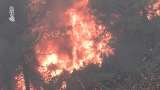 Incendios en España han causado más de 1.500 desplazados