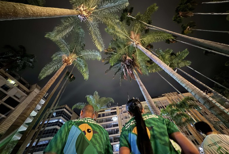 Conservación local con impacto global: el ejemplo de la conservación de aves