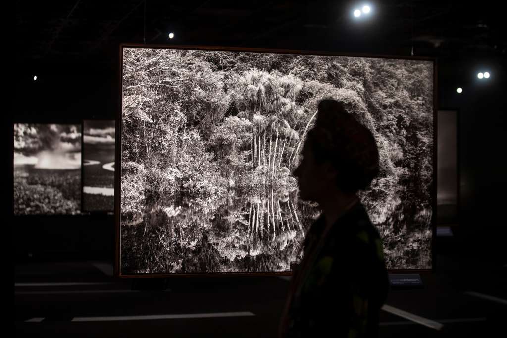 -FOTODELDÍA- MEX2259. CIUDAD DE MÉXICO (MÉXICO), 06/02/2025.- Fotografía de la exposición 'Amazonía', del fotógrafo brasileño Sebastião Salgado este jueves, en el Museo Nacional de Antropología, en Ciudad de México (México). Un llamado para salvar y proteger la Amazonía, la selva tropical más grande del mundo es lo que pretende ser la exposición ‘Amazônia’, del fotógrafo brasileño Sebastião Salgado, la cual podrá ser vista en el Museo Nacional de Antropología de la Ciudad de México a partir de este 7 de febrero y hasta finales de mayo. EFE/ Isaac Esquivel