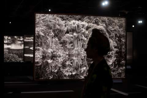 El legado ambiental de Sebastião Salgado, el fotógrafo brasileño que retrató la Amazonía