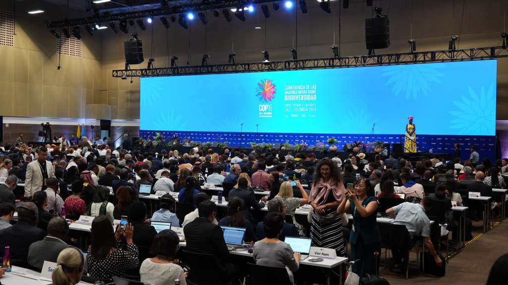 La COP16 reúne a las delegaciones de 196 países que llegan a Cali con el compromiso de presentar sus planes para cumplir con el Marco Mundial de Biodiversidad.