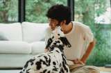 ¿Tu perro te lame con frecuencia? Estas serían las razones de por qué lo hace
