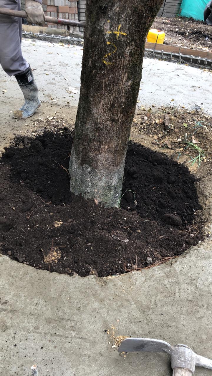 * * *Si quiere conocer más sobre lo que pasa en Bogotá, lo invitamos a seguir nuestra página en Facebook