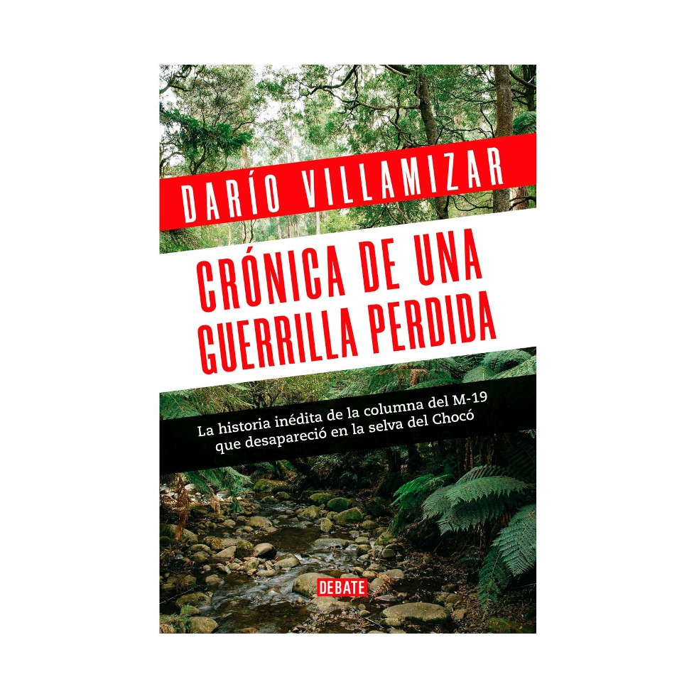 Darío Villamizar