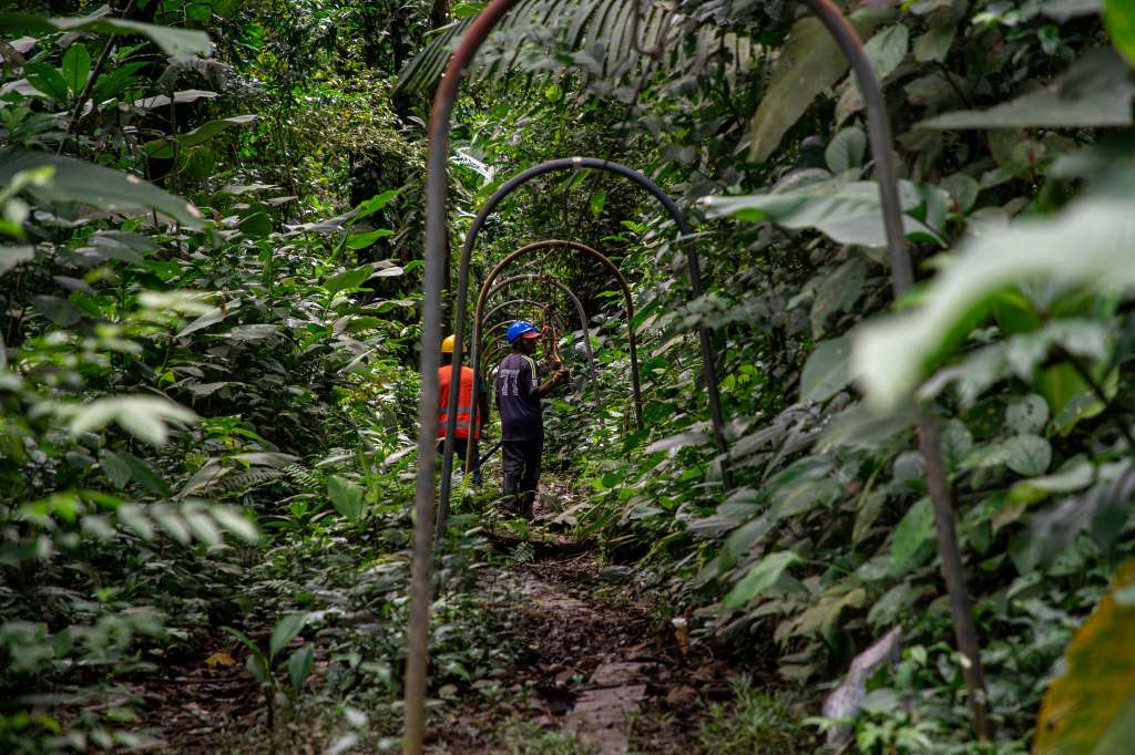 Las iniciativas comunitarias para conservar la naturaleza que surgieron tras el Acuerdo de Paz.