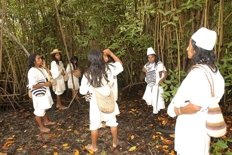 En la Sierra Nevada de Santa Marta viven 90 mil indígenas entre koguis, arhuacos, wiwas y kankuamos. / Herminso Ruiz
