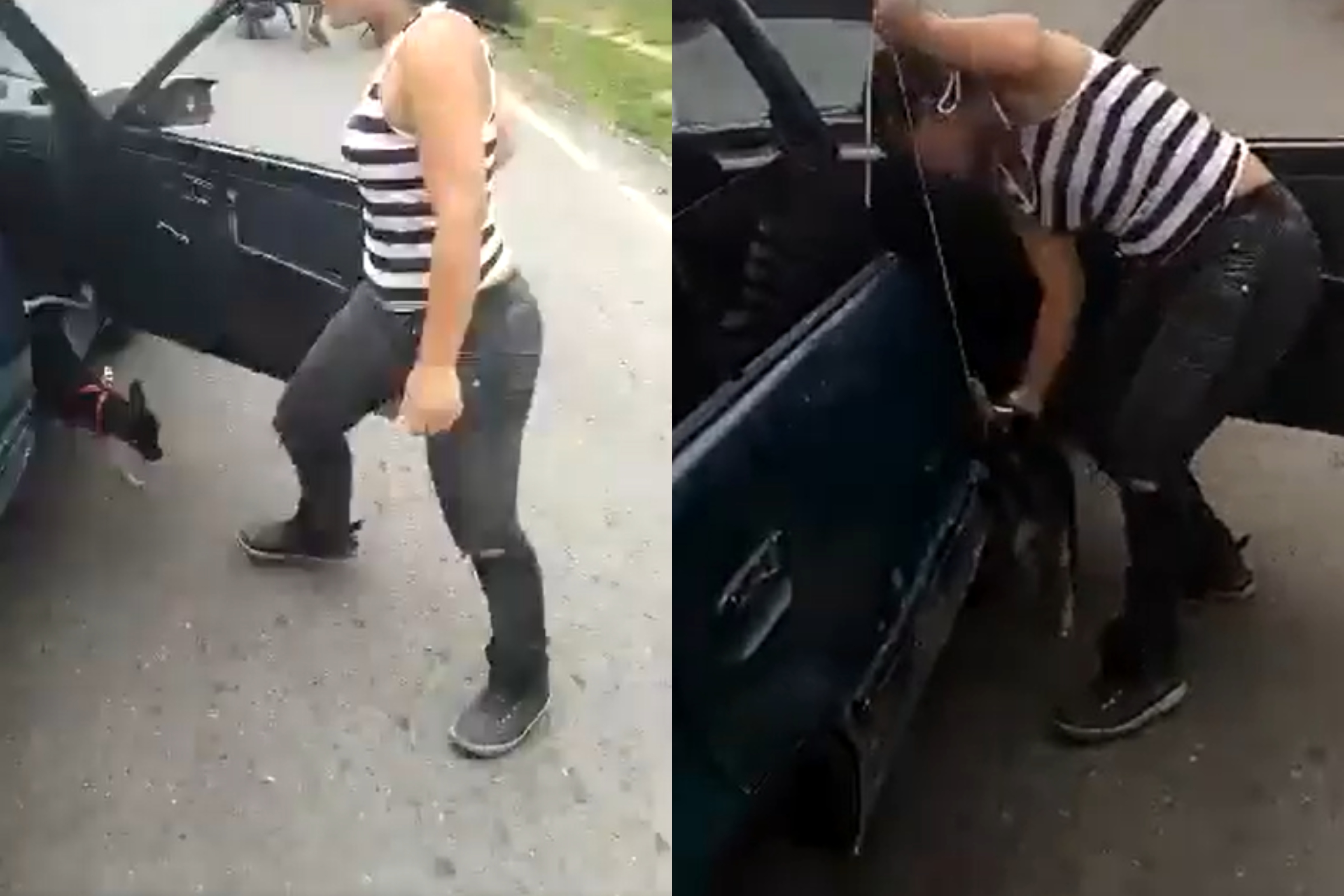 La mujer que grabó el video dice se defensora de los animales.