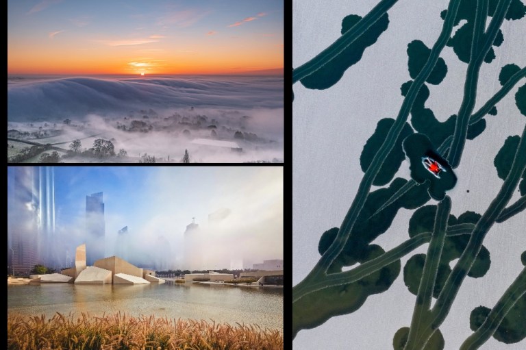 Para este año participaron 8,900 fotografías.