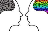 Al parecer, las mujeres tienen un cerebro más activo que los hombres