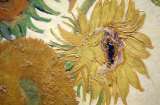 Prohíben a activistas que lanzaron sopa a obra de Van Gogh visitar cualquier museo