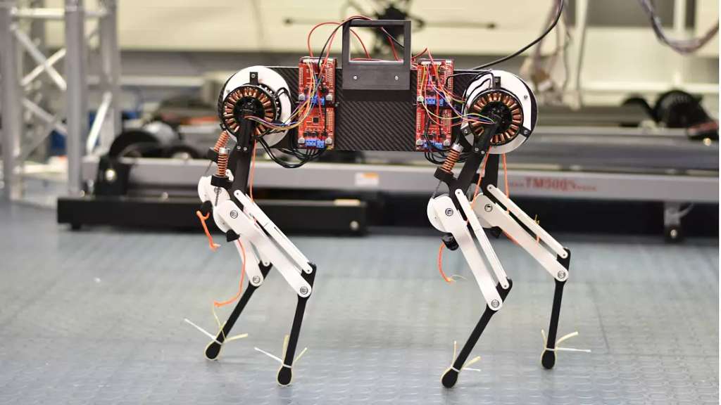 Imagen del robot desarrollado por el equipo de investigadores.
