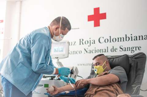 Cruz Roja Colombiana, en alerta por escasa donación de sangre, ¿cómo ayudar?