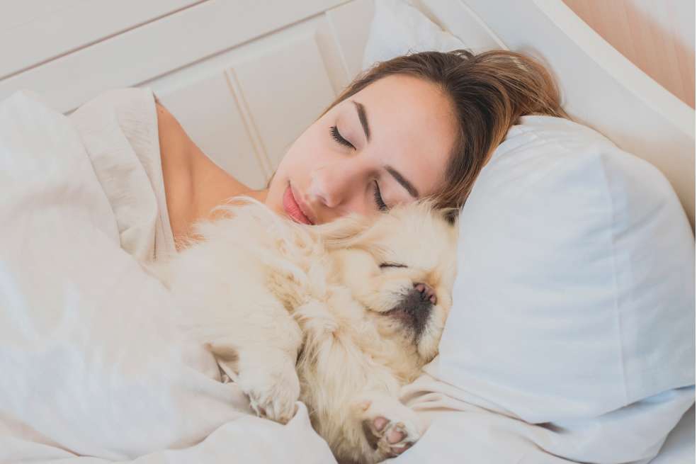 ¿Duermes con tu perro y gato? Descubre si es malo o bueno