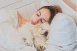 Perros y gatos: ¿Es malo dormir con nuestra mascota?