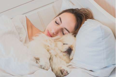 ¿Duermes con tu perro o gato? Descubre si es malo o bueno