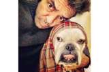 Eugenio Derbez quiere convertir a su bulldog Fiona en una influencer