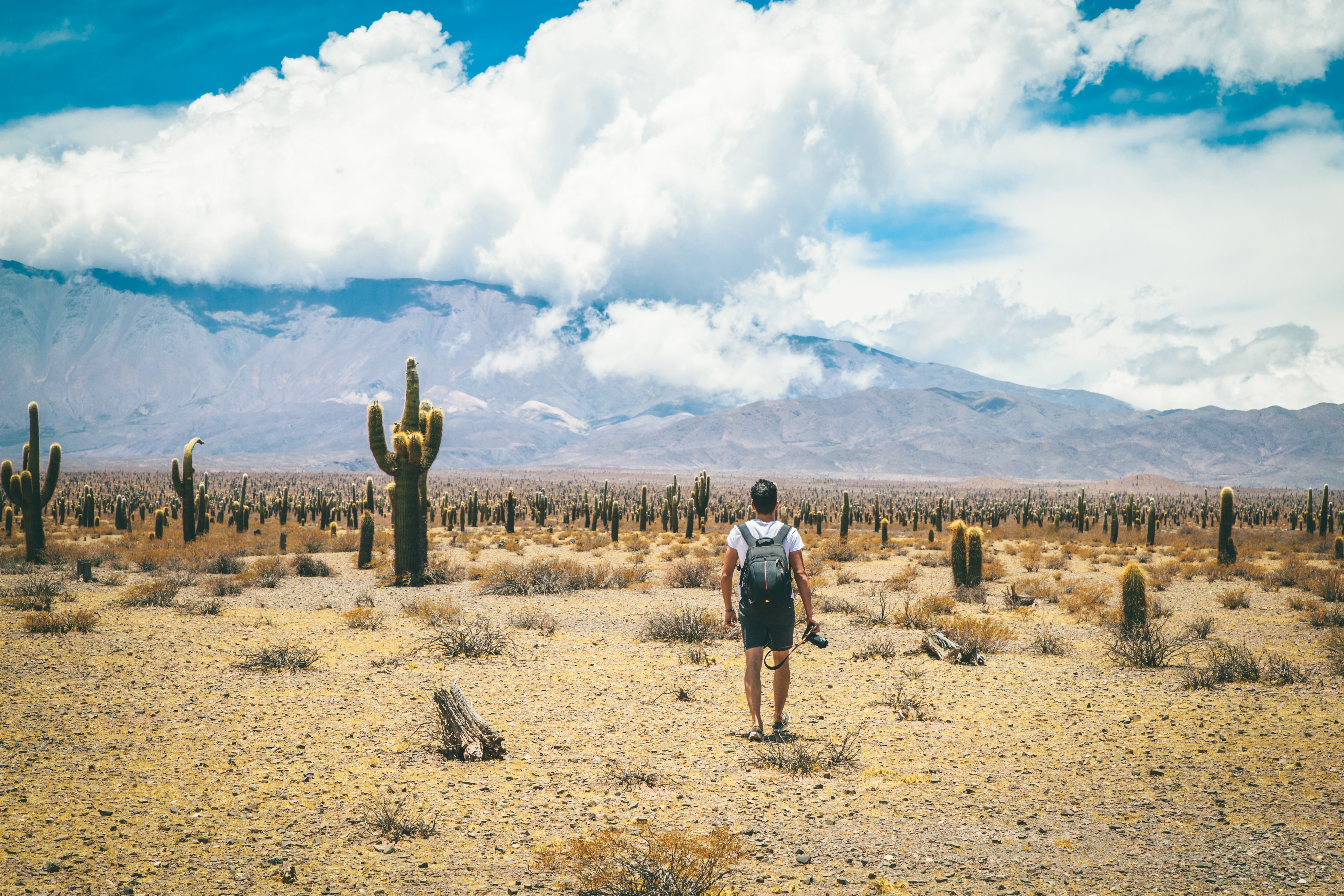 Parque Nacional Los Cardones.