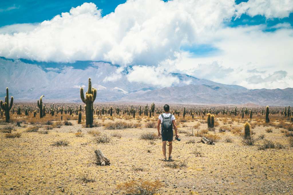 Parque Nacional Los Cardones.