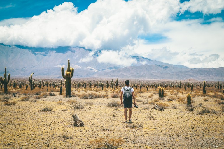 Parque Nacional Los Cardones.