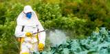 El informe por el que la Agencia Europea de Ambiente pide reducir uso de pesticidas