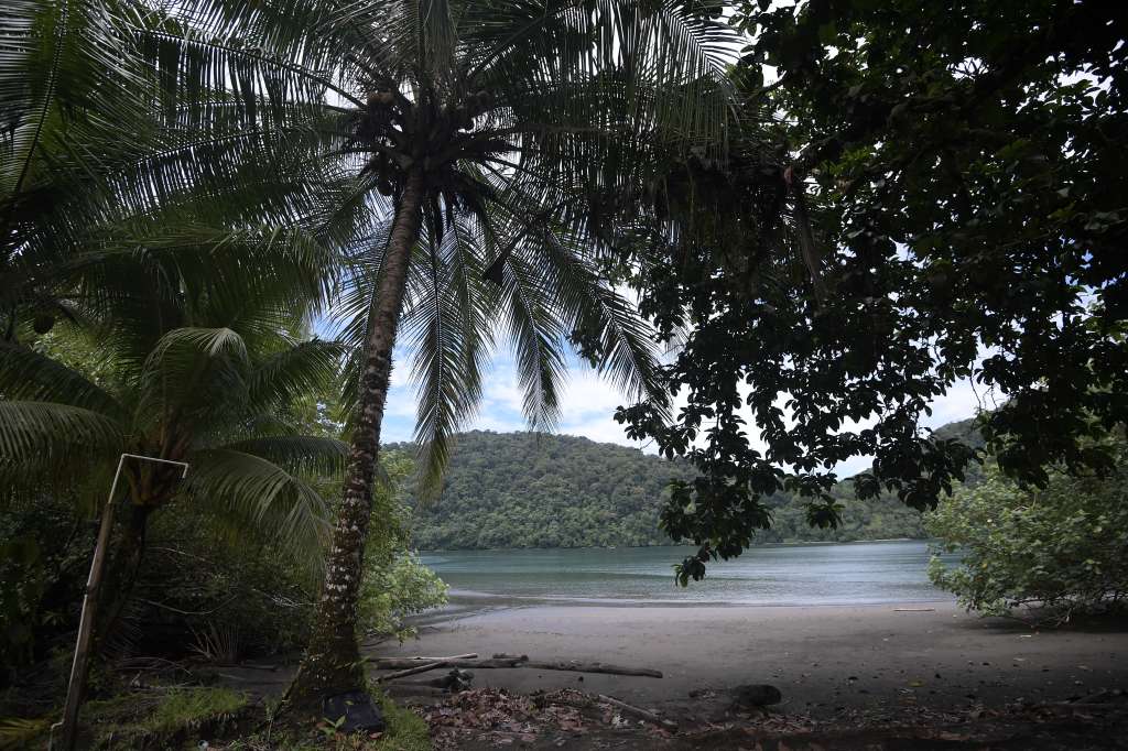 Parque con bosque húmedo tropical, estuarios, manglares, biodiversidad de flora y fauna, ubicado en el municipio de Nuquí, Chocó.