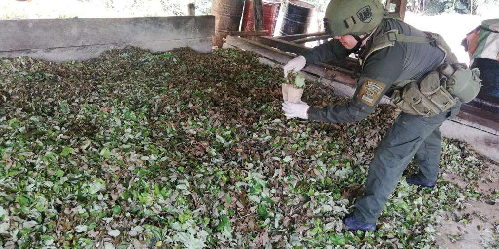 Las operaciones de la Fiscalía y las Fuerzas Militares han desmantelado laboratorios que producían cocaína en Antioquia, Bolívar, Cauca, Córdoba, Nariño, Norte de Santander, Sucre y Cundinamarca. / Fuerzas Militares