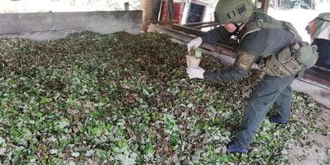 Autoridades continúan en su lucha contra el narcotráfico en cuarentena