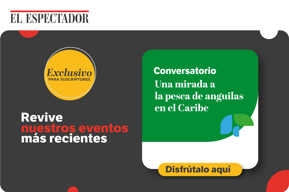 Revive nuestros eventos