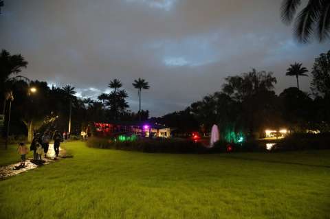 Regresa el Jardín Botánico de Noche: horarios, boletas y cómo asistir