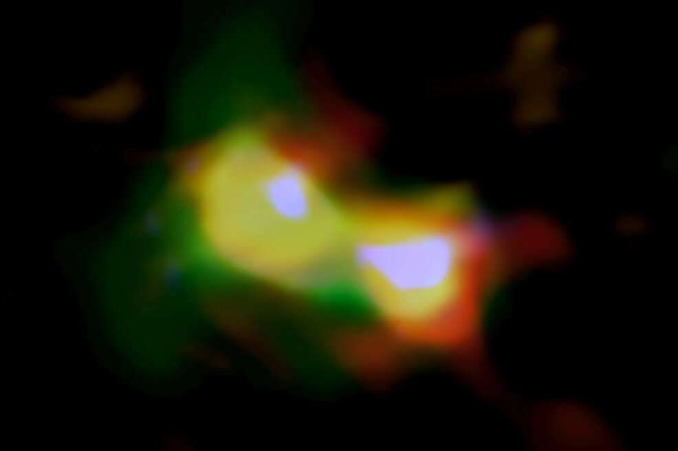 Imagen de la colisión de galaxias hecha por ALMA. / Atacama Large Millimeter/submillimeter Array