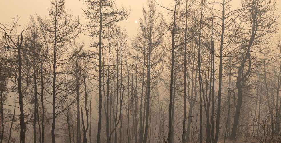 Ecopetrol comprometido con el medio ambiente.