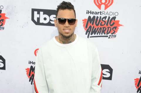 Chris Brown niega ser el dueño del mono capuchino por el que podría volver a prisión